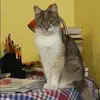 Отзыв от Лия Зеленина